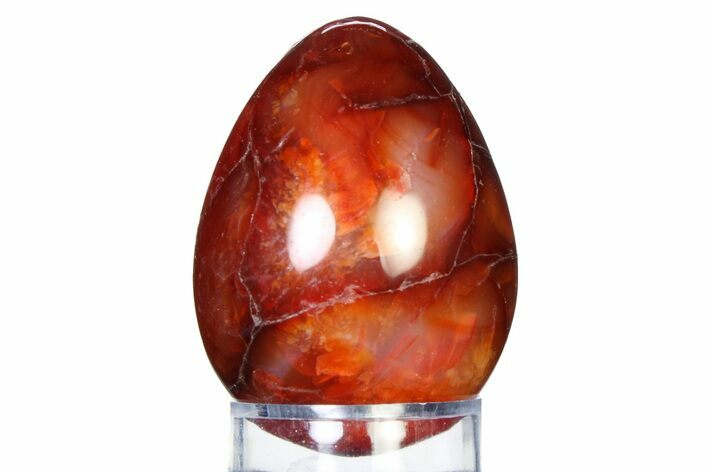 Vibrant Polished Carnelian Agate Egg - Madagascar #318279